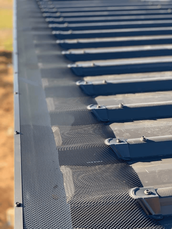 fcf2c9a8492cd7d72102700cb67b6951 (1)