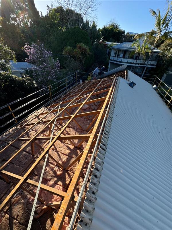 Your Comprehensive Guide to Colorbond